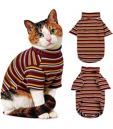 Amazon.co.jp: なめ猫 レトロ なめんなよ猫 下敷き ！ : ペット用品